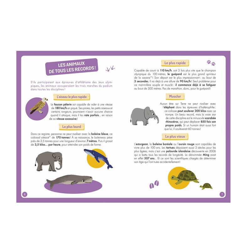 Livre A la découverte des animaux du monde - Auzou
