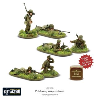 Polish Army Weapons Teams