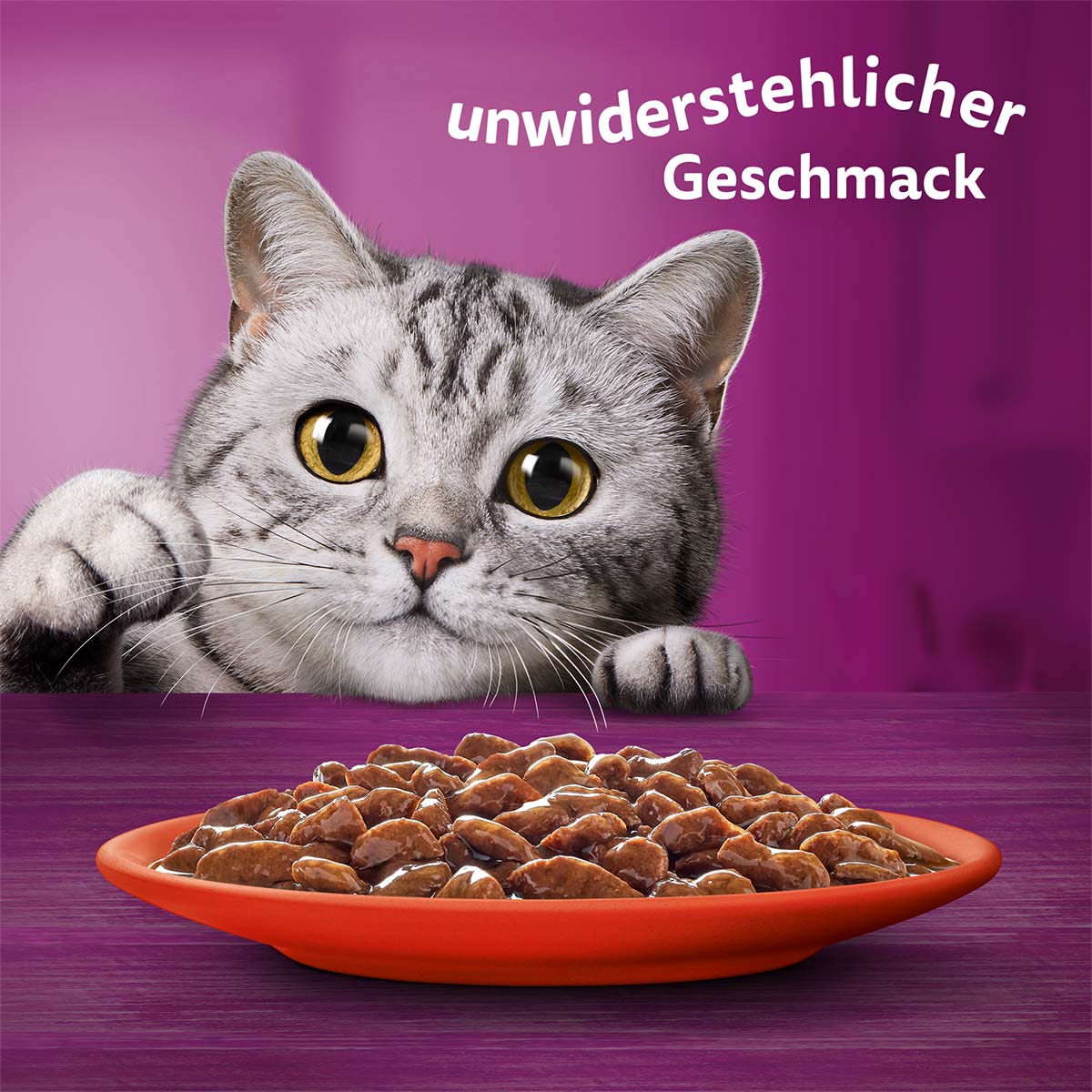 Whiskas Multipack 1+ Klassische Auswahl in Sauce 80x85g