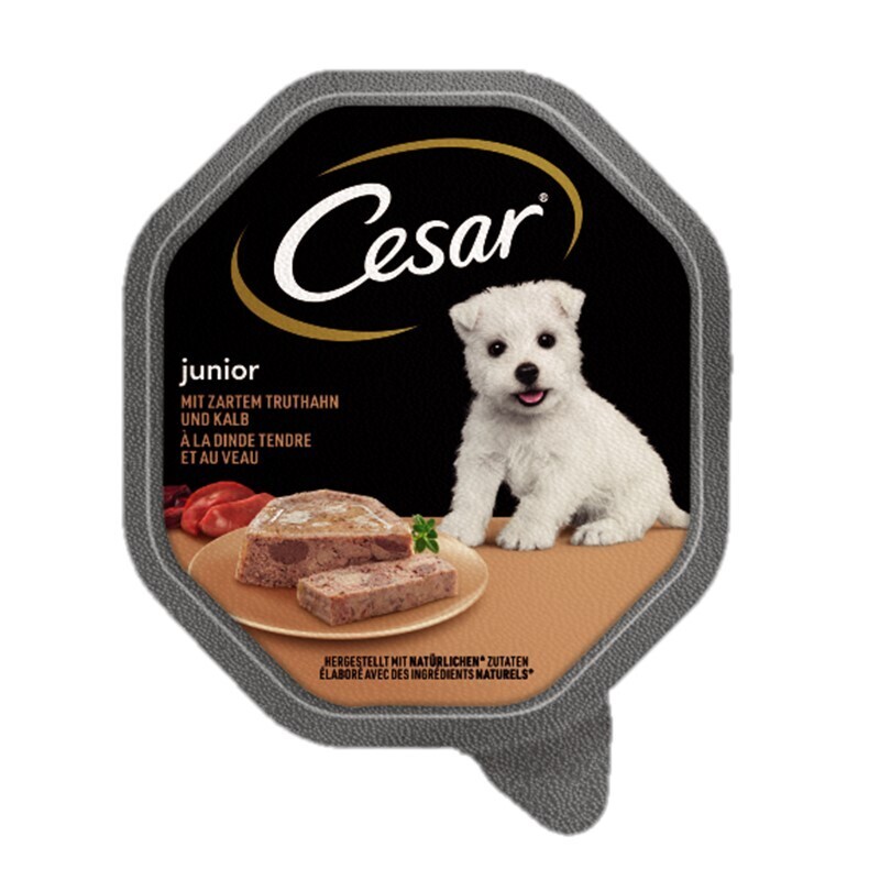 Cesar Hundenassfutter Cesar Junior 14x150g