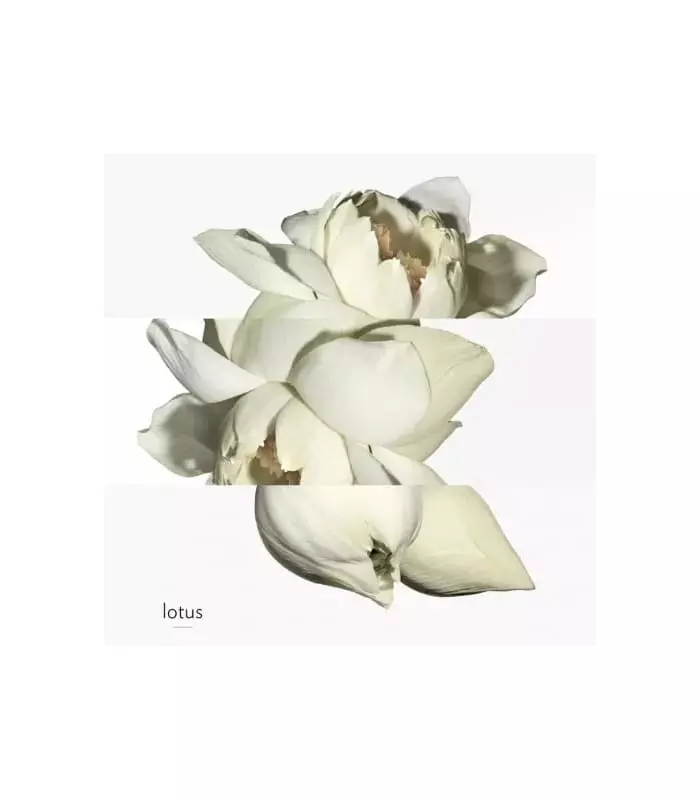 UN JARDIN SUR LE NIL Eau de Toilette Recharge