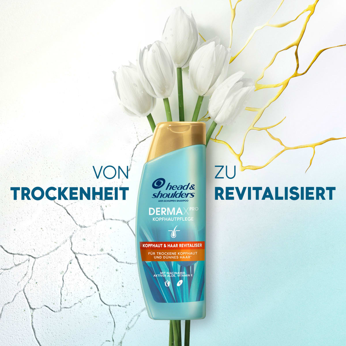 Shampoo Derma x Pro Kopfhaut & Haar Revitaliser, 250 ml