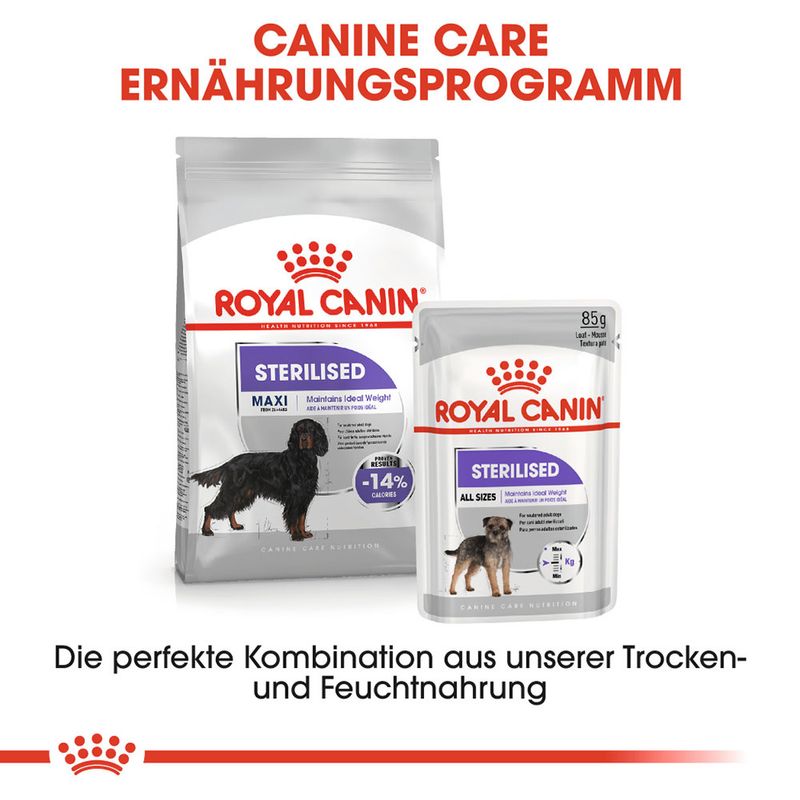 Royal Canin Sterilised Maxi zu TOP-Preisen