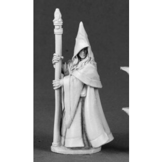 Anirion, Wood Elf Wizard (REA03491)