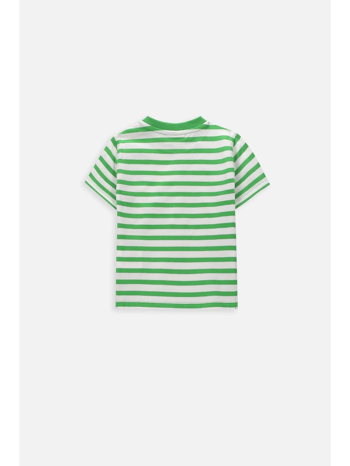 Coccodrillo T-Shirt mit kurzen Ärmeln in bunt günstig kaufen