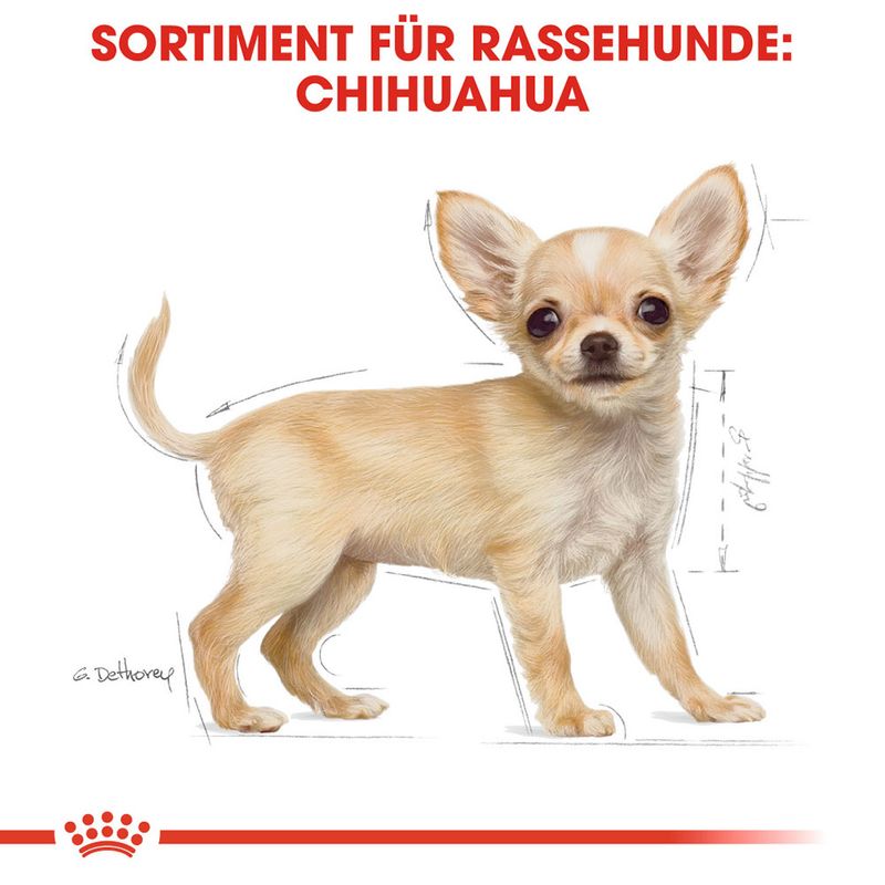 Royal Canin Chihuahua Puppy zu TOP-Preisen