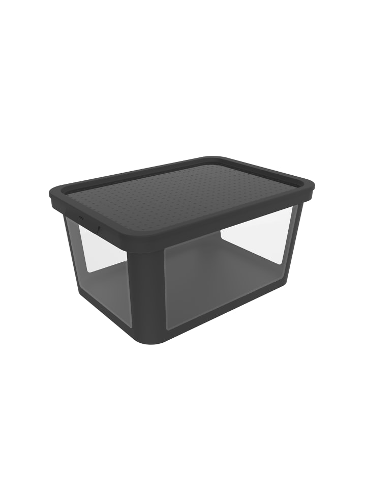 Rotho Aufbewahrungsbox 45l inkl. Stülpdeckel ALBRIS in Schwarz günstig kaufen onesize