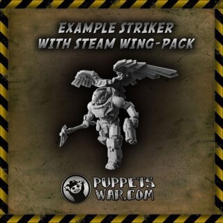 Steam Wings-Packs (5)