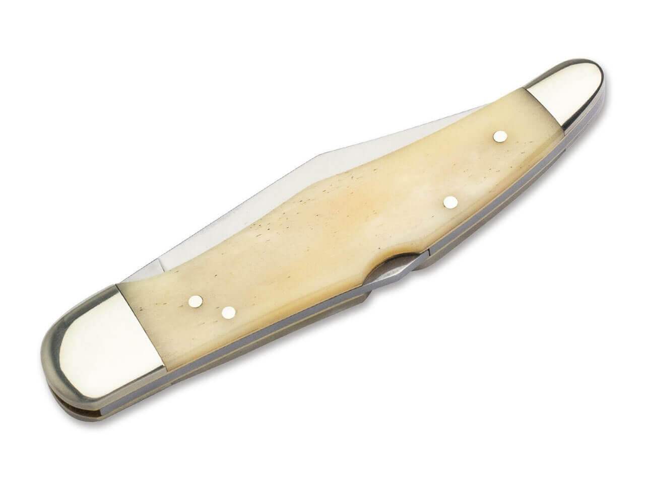 20-21 Knochen Weiß