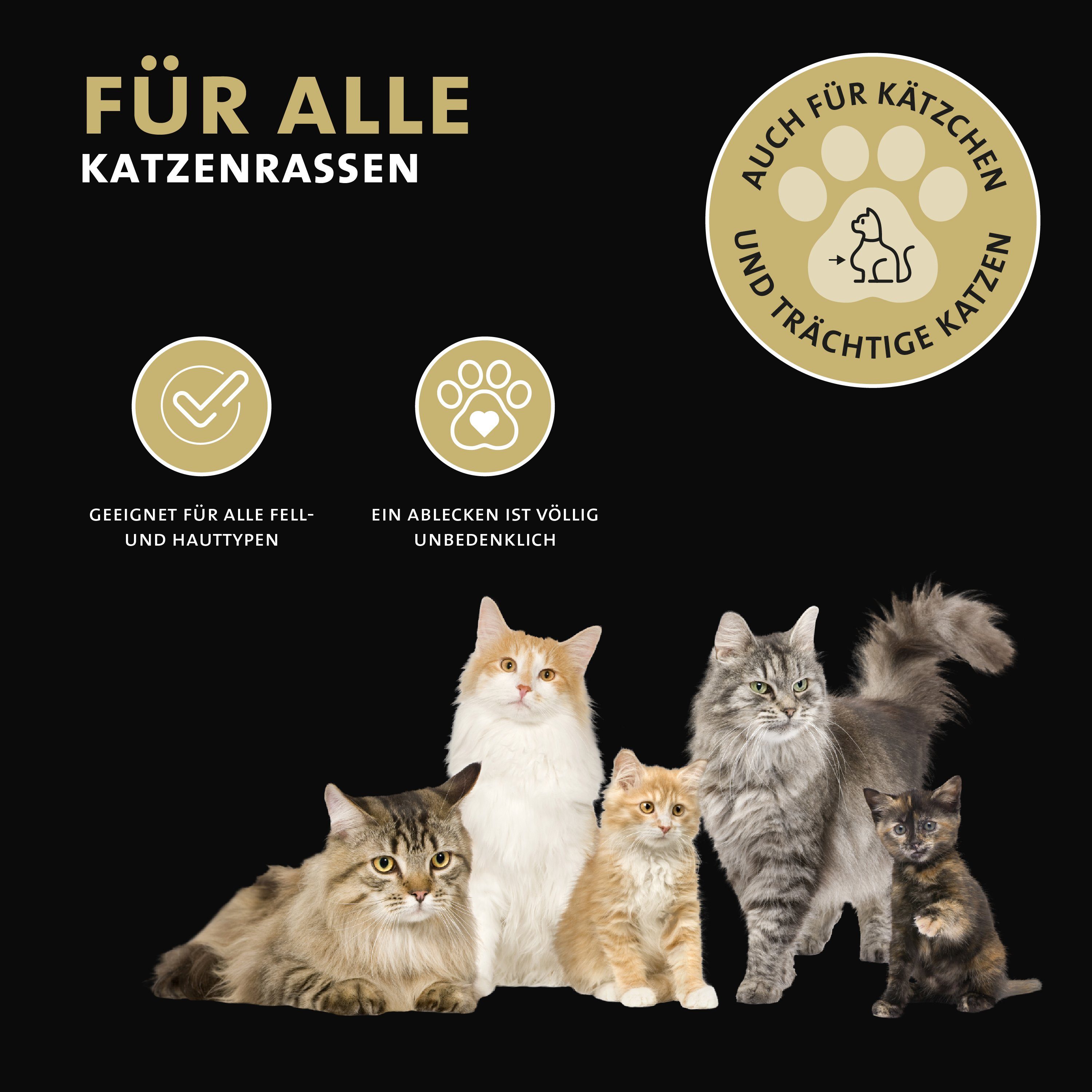Peticare Insektenspray petCat Protect 3010 - Parasiten, Juckreiz Lotion für Katzen, 50 ml, garantiert KEIN: -Neemöl -Teebaumöl -Schwarzkümmel -Terpene