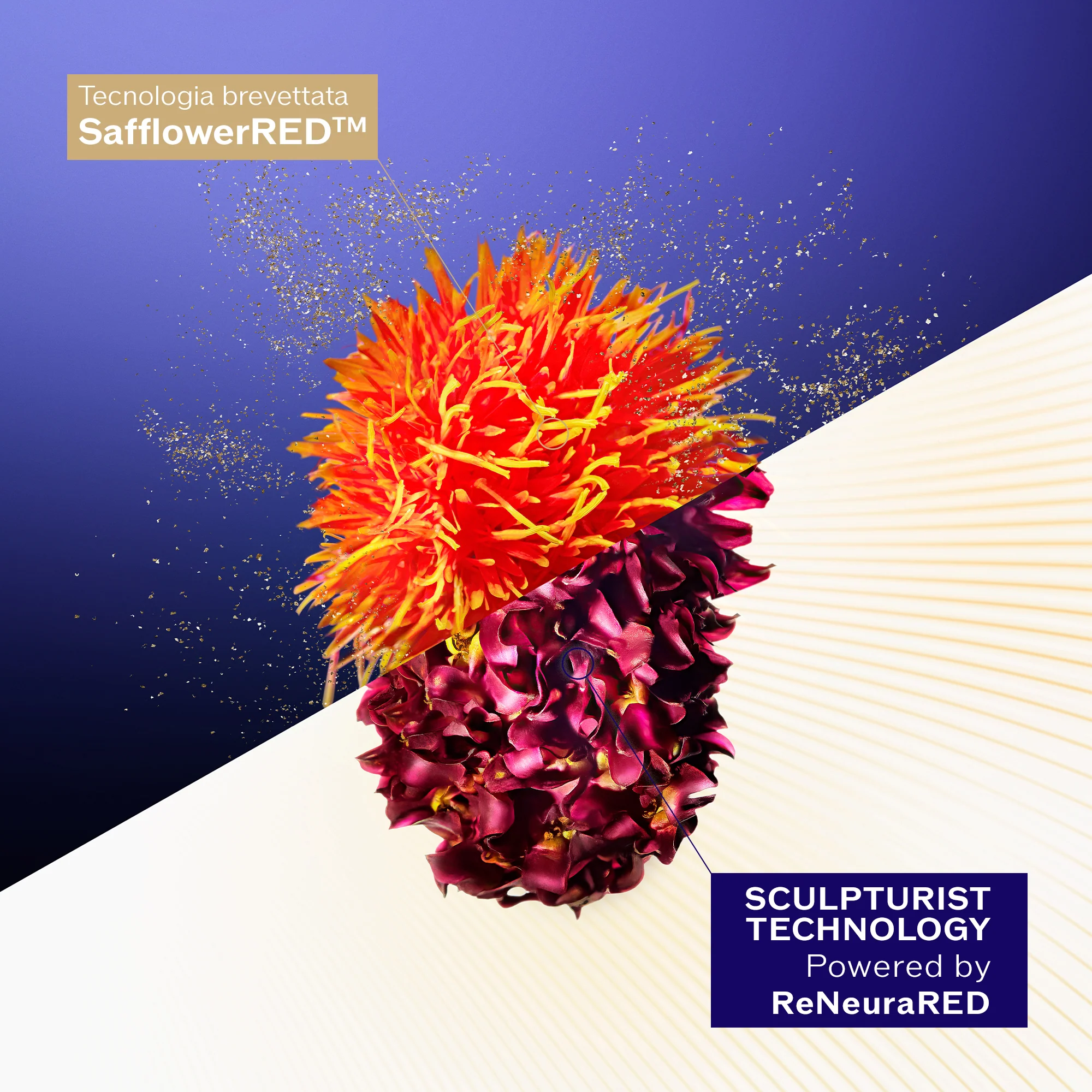Crema Suprema Concentrada Vital Perfection - Recambio - Tratt. levantamiento viso 24 ore, Tratt.viso 24 ore antirughe