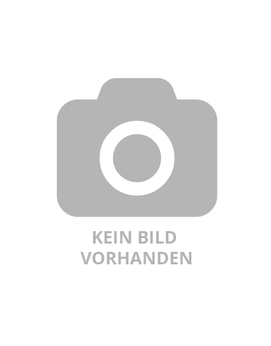 WEKA Gartenhaus Isar 19 mm Gartenhaus, Haus 200 x 200 cm, mit Anbauschrank (b 180 x t 65 cm) und Schleppdach (b200 x t 75 cm), Fußboden,