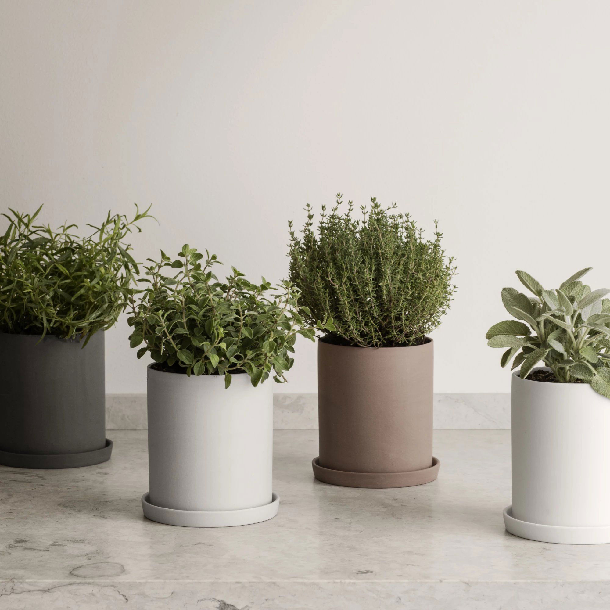 BlomusKräutertopf S