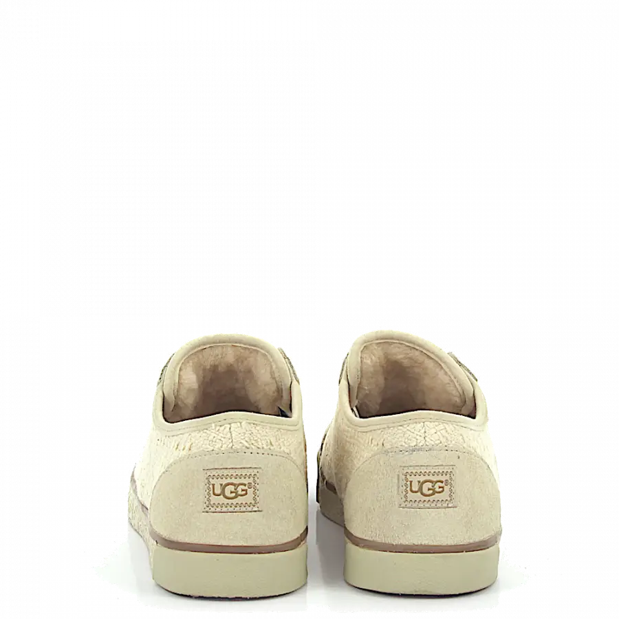 UGG - Sneaker low Lammleder Logo beige - beige