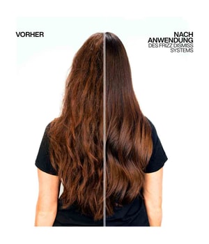 Redken Frizz Dismiss Haarshampoo 300 ml