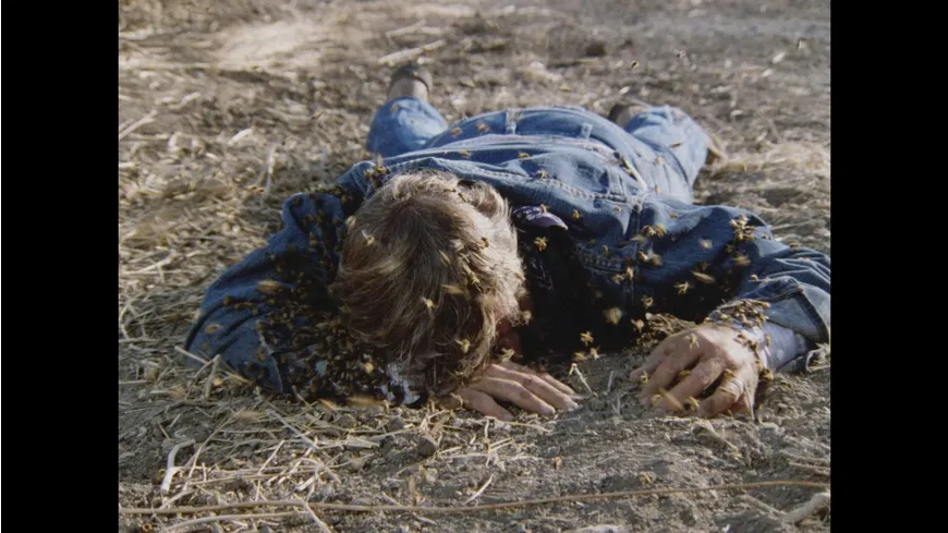 Killerbienen II - Die Mörderbienen greifen wieder an (Terror aus den Wolken / Terror Out of the Sky) (Filmjuwelen)