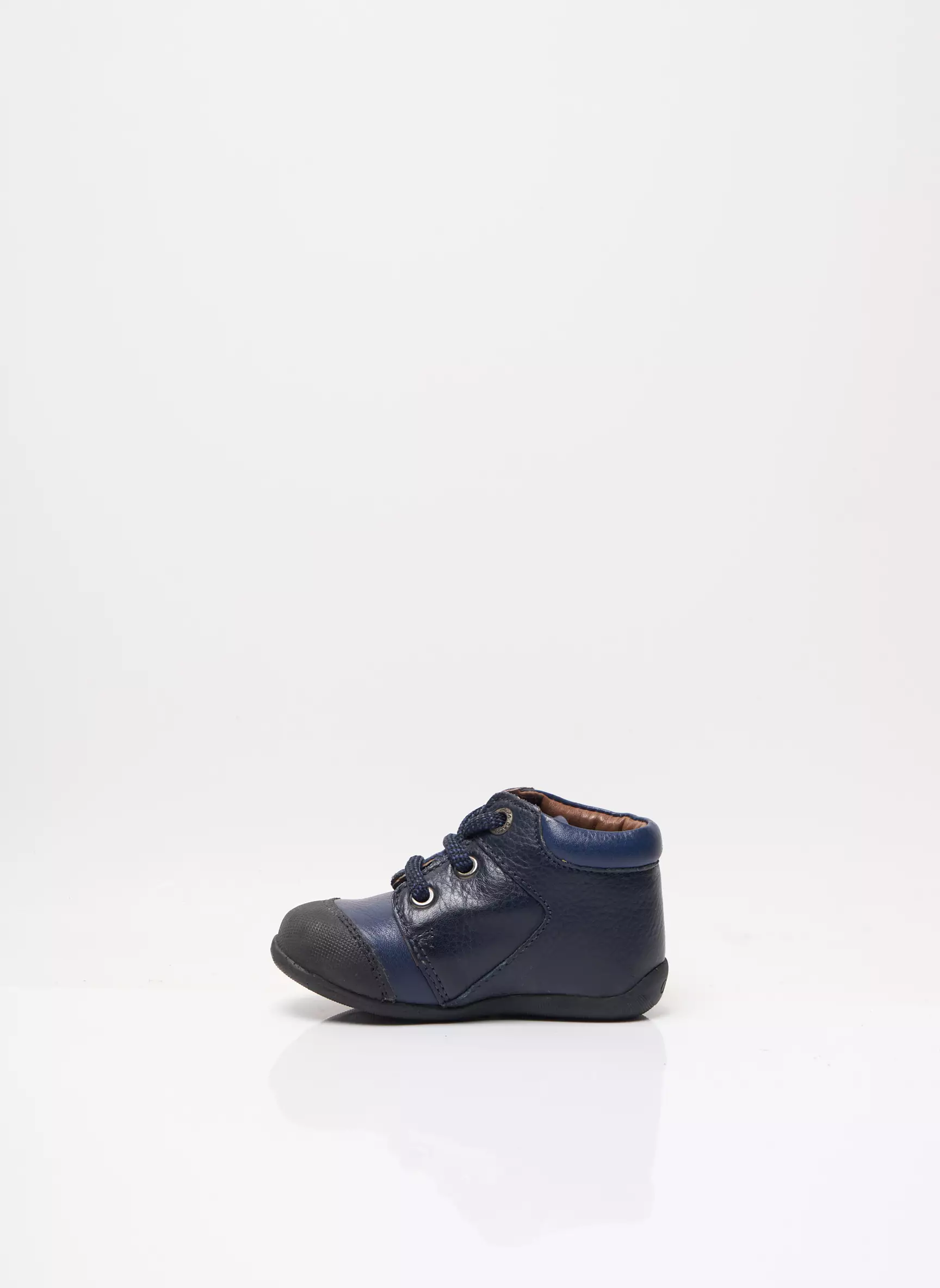 Aster Bottillons Garcon couleur bleu