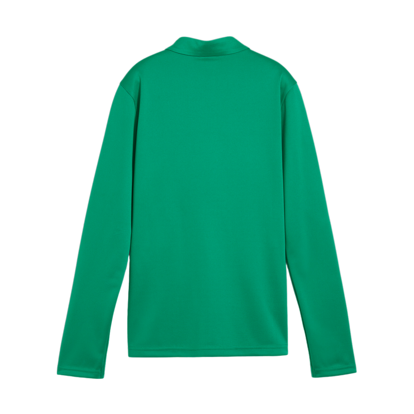 PUMA teamGOAL Trainingsjacke Damen Grün F05