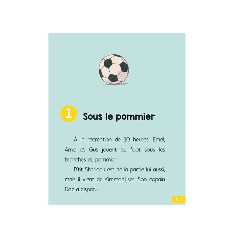 Livre Le secret du coffret - Larousse Jeunesse