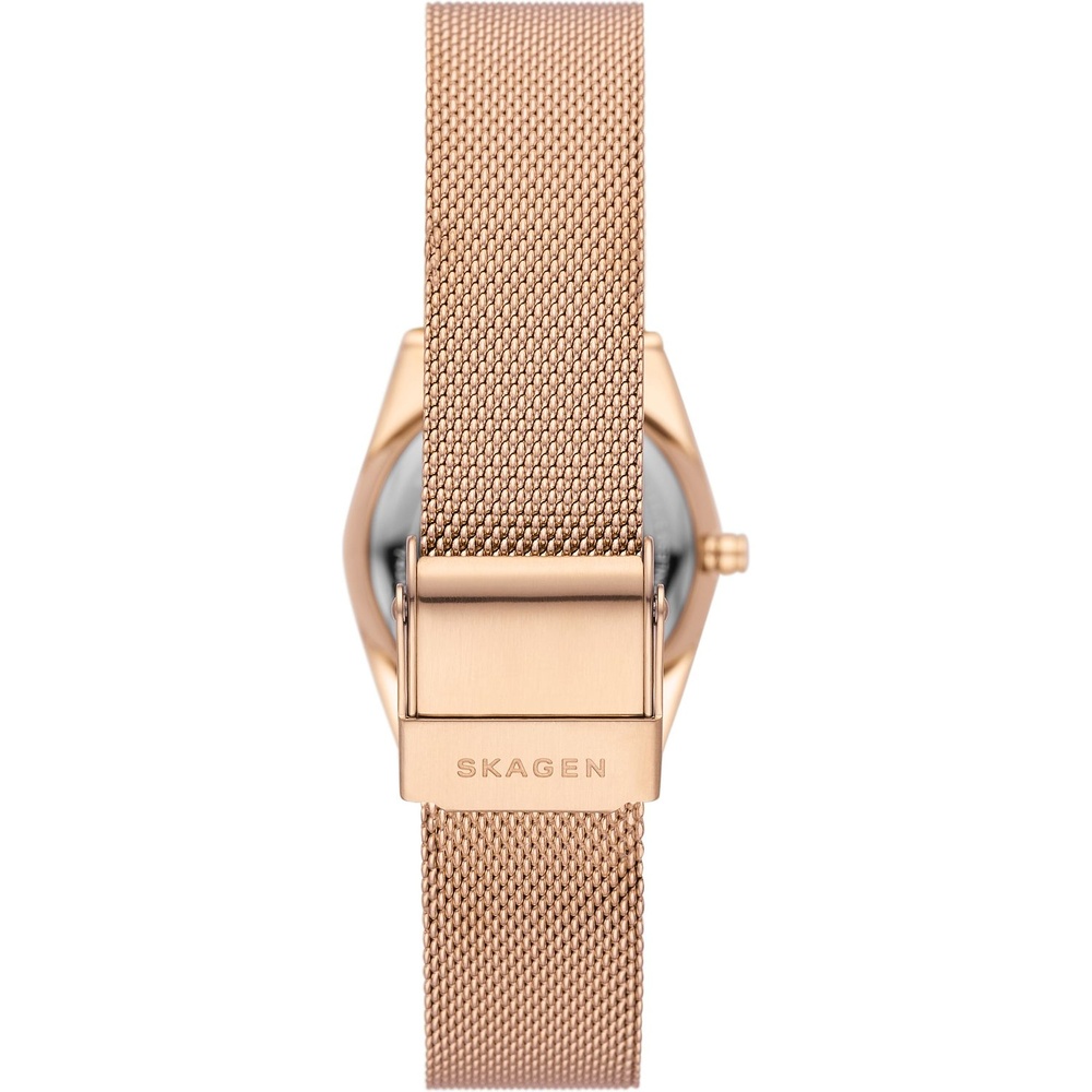 Skagen Montre pour femme Acier inoxydable Montre