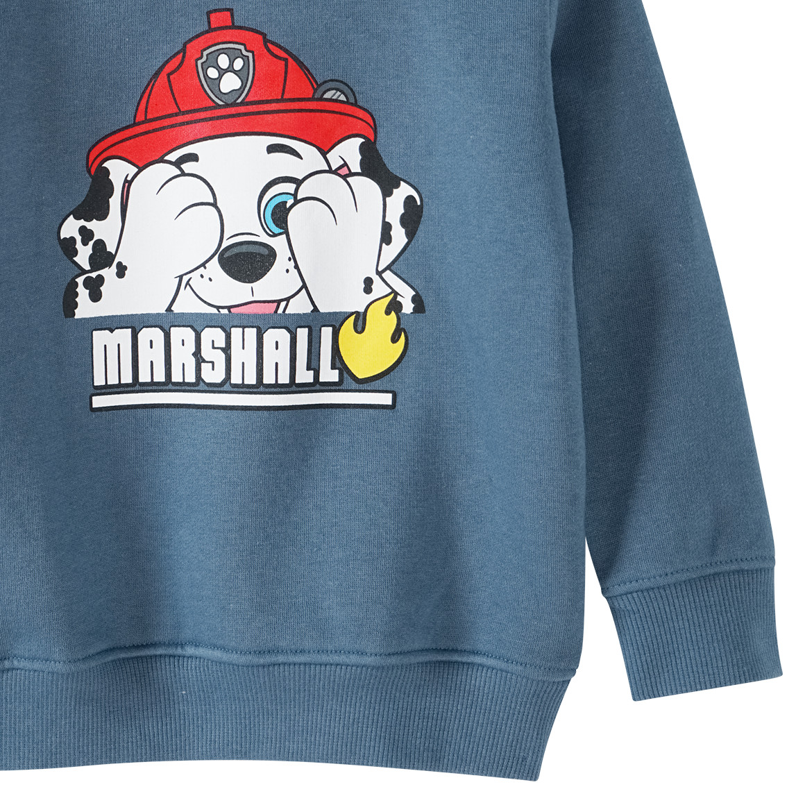 PAW Patrol Sweatshirt mit Schalkragen