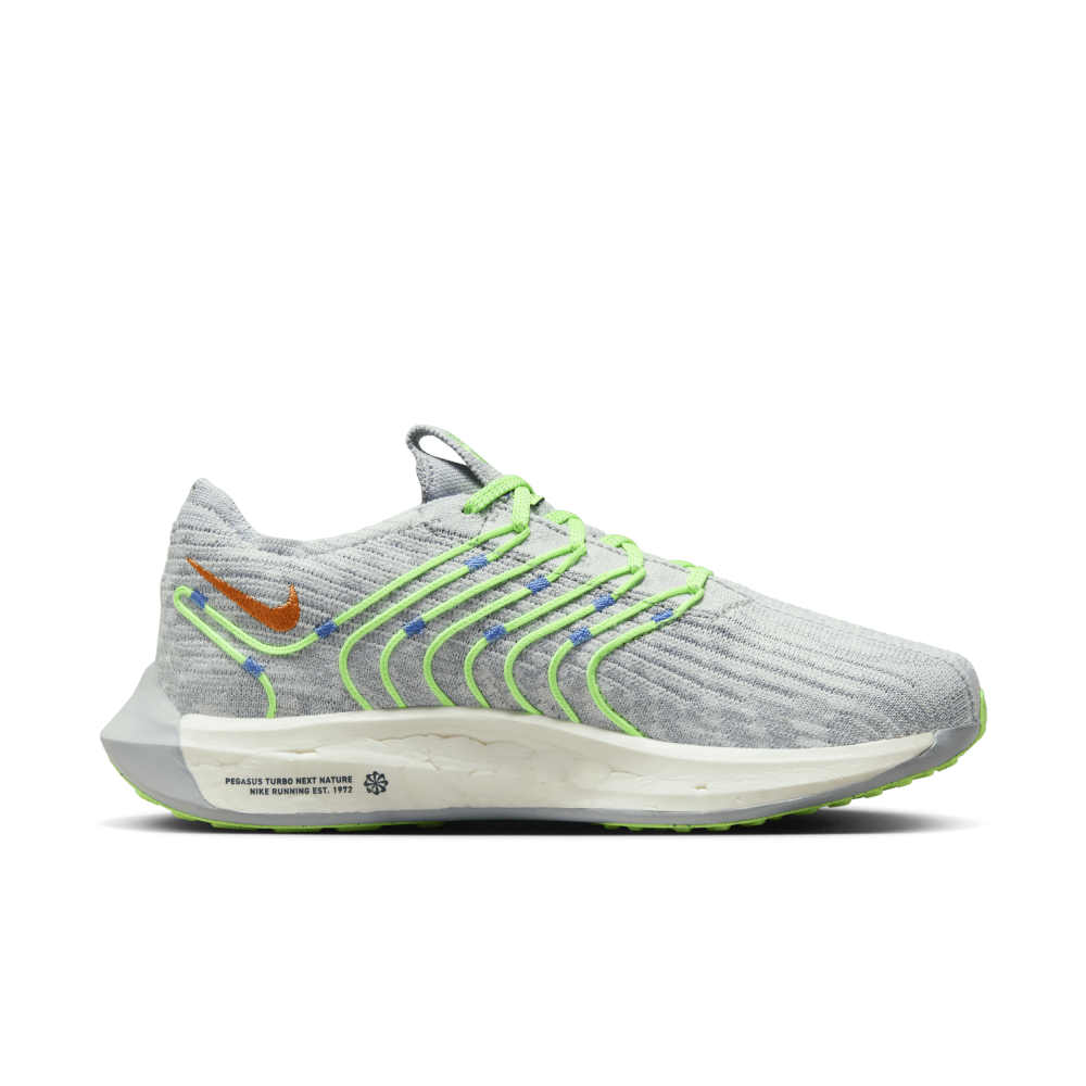 Nike Pegasus Turbo Next Nature DM3414-007 / grau
