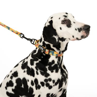 TIAKI Halsband Easy Care