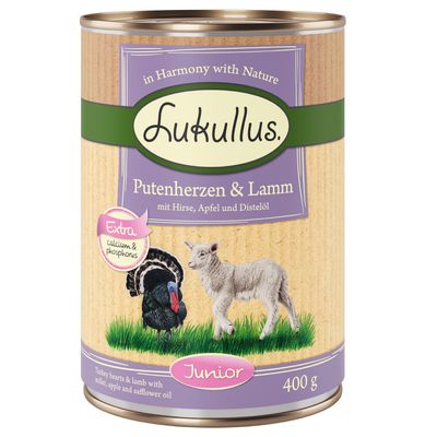 Sparpaket Lukullus Naturkost 24 x  400 g