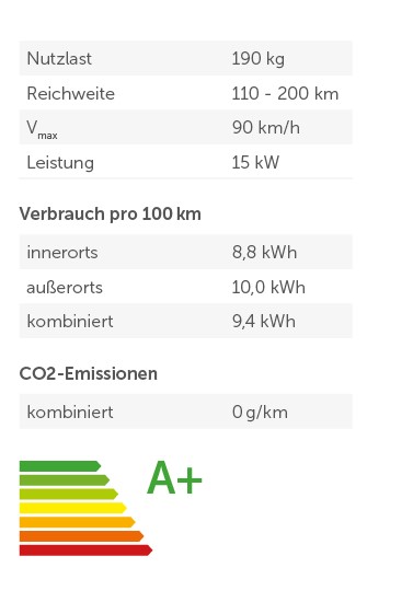 ARI Motors ARI 902 Cargo Elektrofahrzeug E-Auto Leichtfahrzeug inkl. Speditionskosten & vor Ort Einweisung