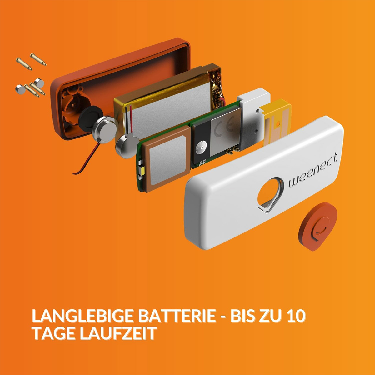 Weenect XS GPS Tracker für Hunde günstig kaufen bei ZooRoyal