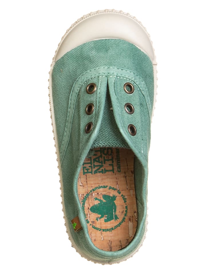 El Naturalista Sneakers 