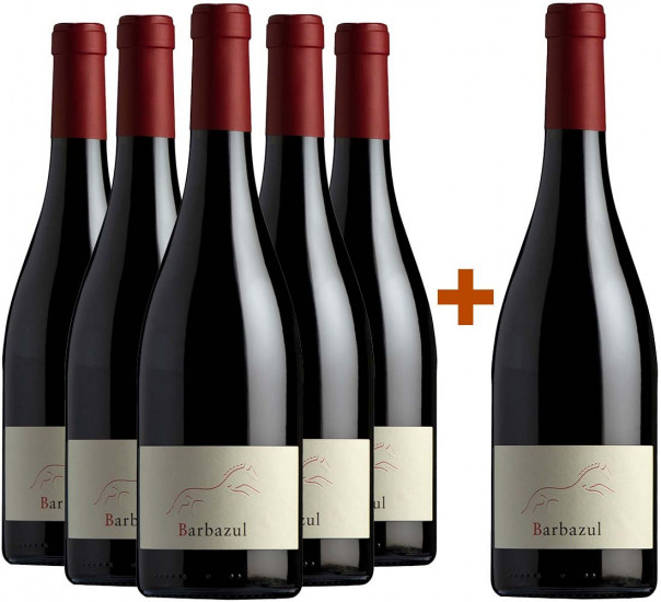 Barbazul Tinto 5+1 Aktionspaket - Huerta de Albalá
