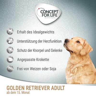 Concept for Life Golden Retriever Adult