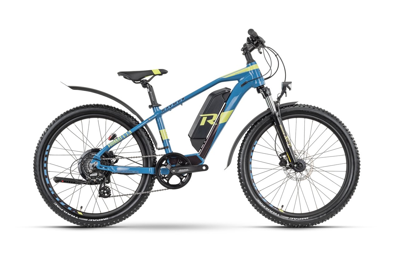 Raymon FourRay E 1.5 Street - 300 Wh - 2021 - 24 Zoll - Diamant