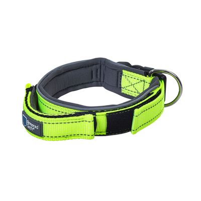 ArmoredTech Dog Control Halsband, neon grün