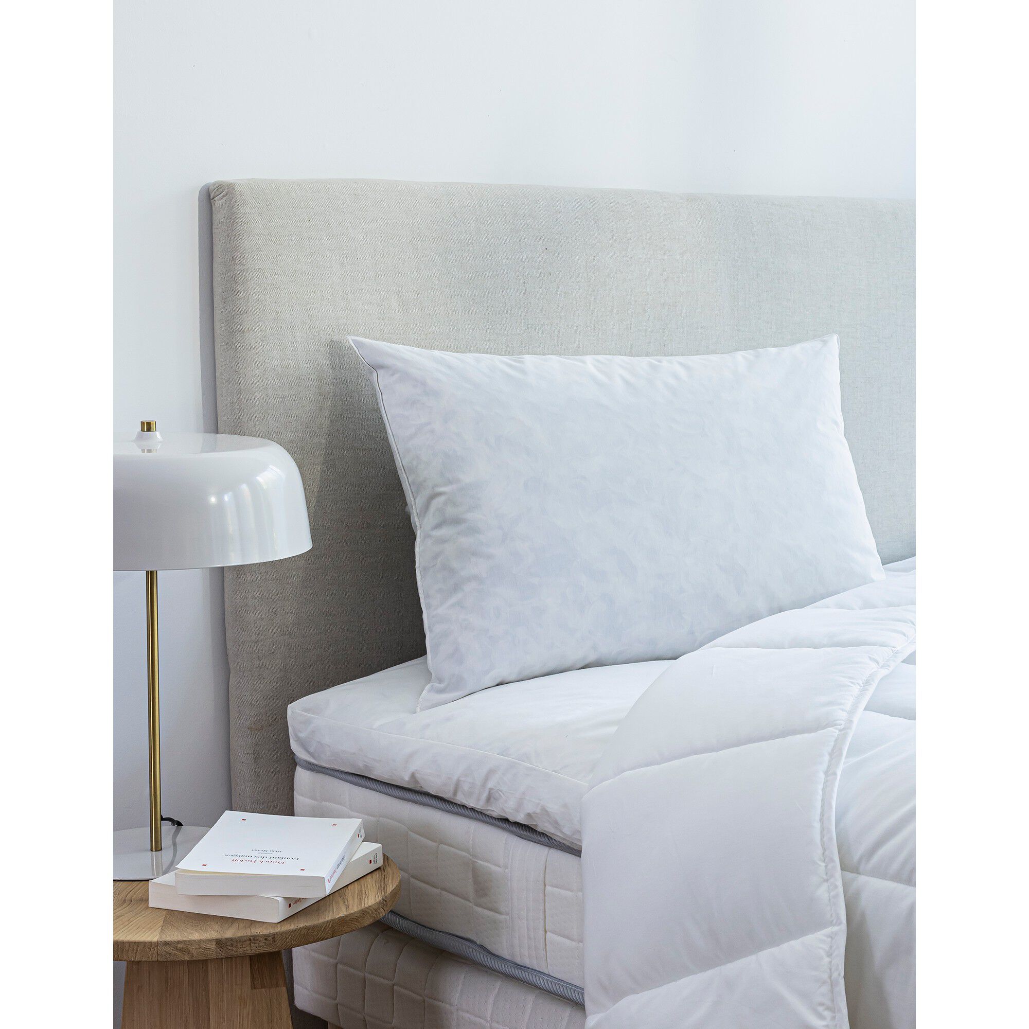 Oreiller plumes en lot de 2