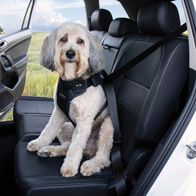 Kleinmetall DogMaster 2.0 Sicherheits Hundegeschirr crash-getestet (TÜV)