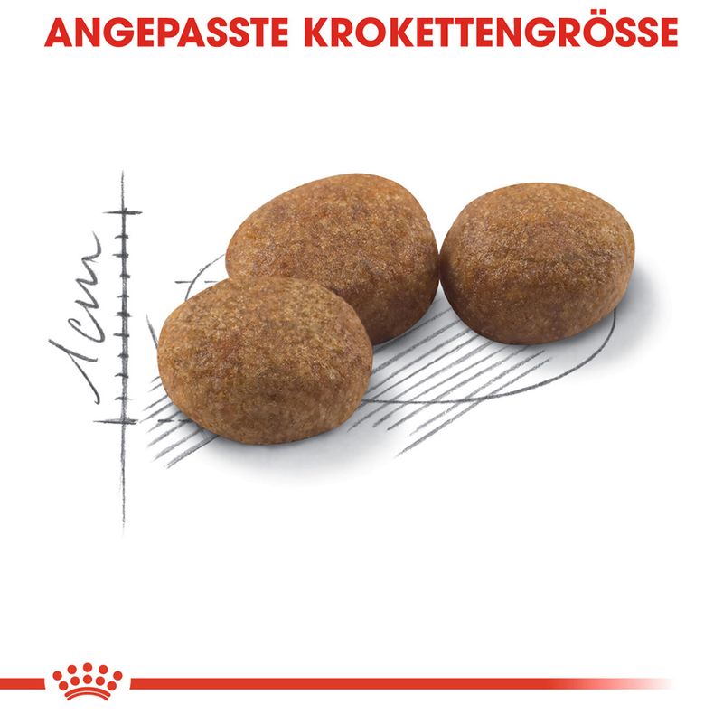 Royal Canin Sterilised zu TOP-Preisen
