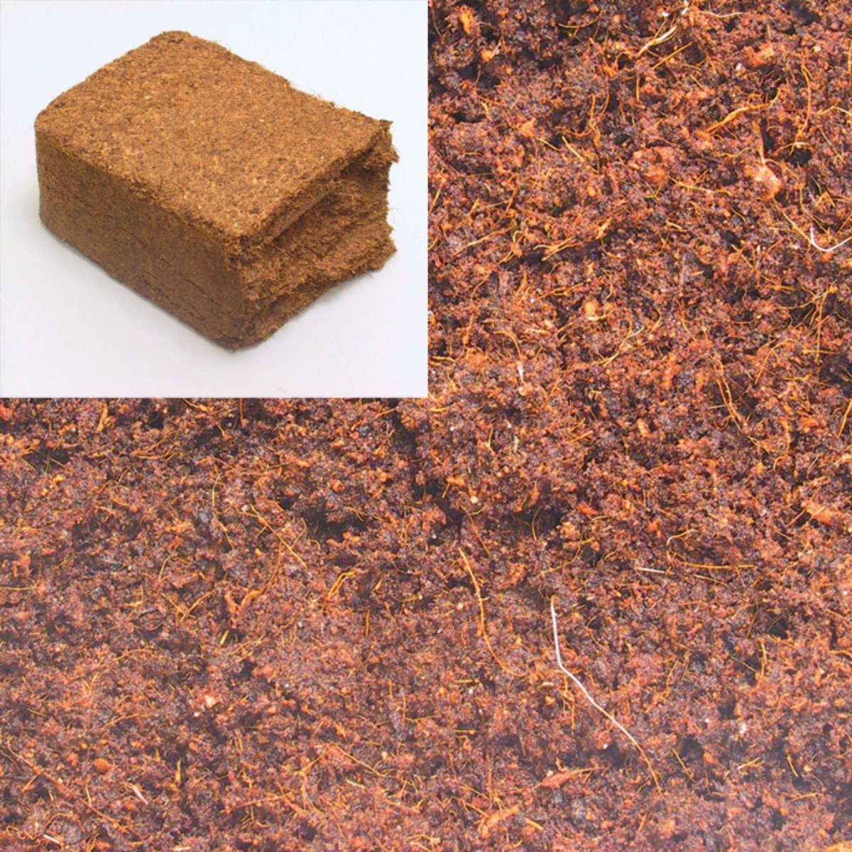 JBL GmbH & Co. KG Terrarien-Substrat TerraCoco Humus 600 g / 9 l