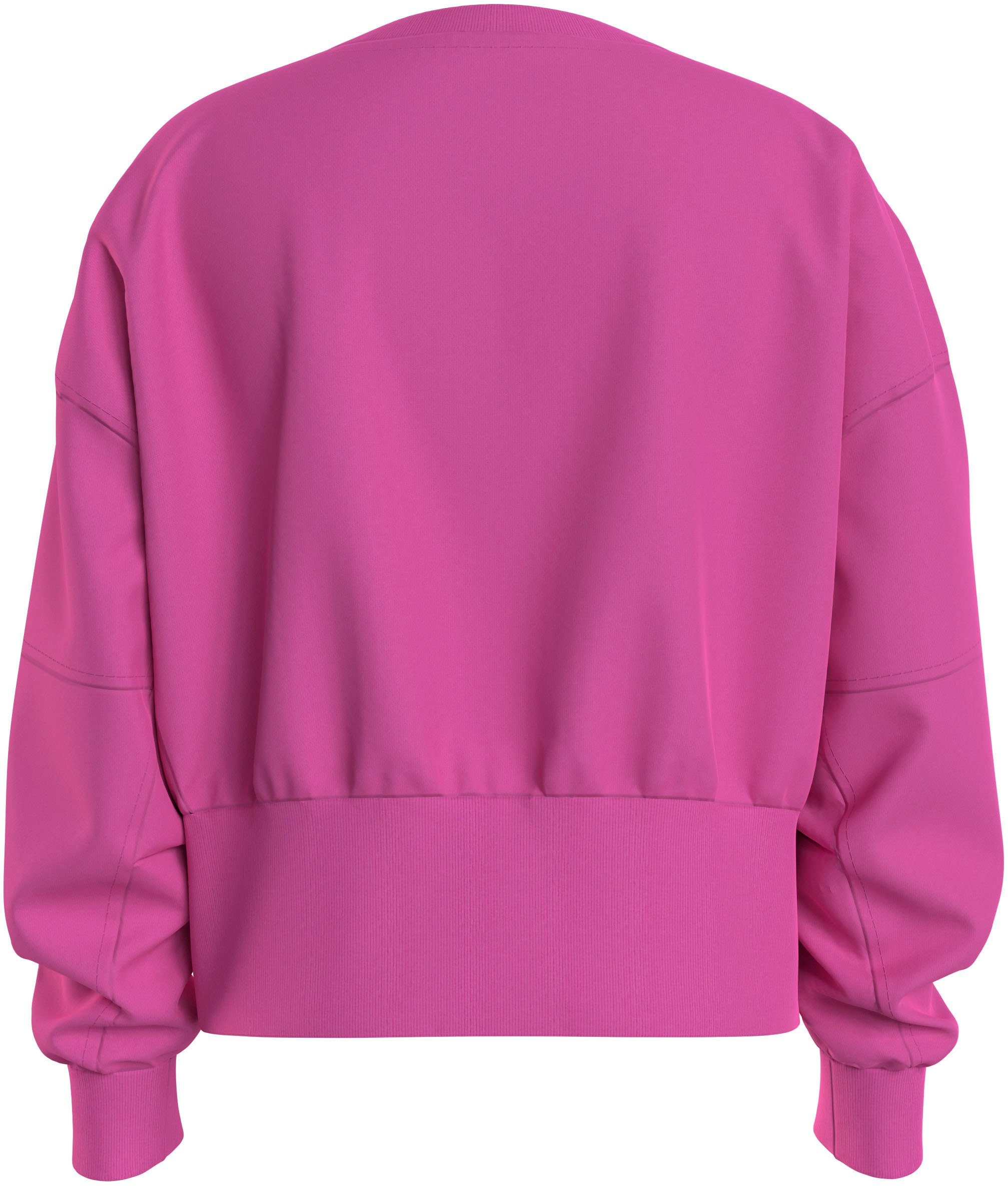 Calvin Klein Jeans Sweatshirt PUFF HERO LOGO CN SWEATSHIRT mit Logoschriftzug