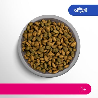 Perfect Fit Adult 1+ Reich an Lachs