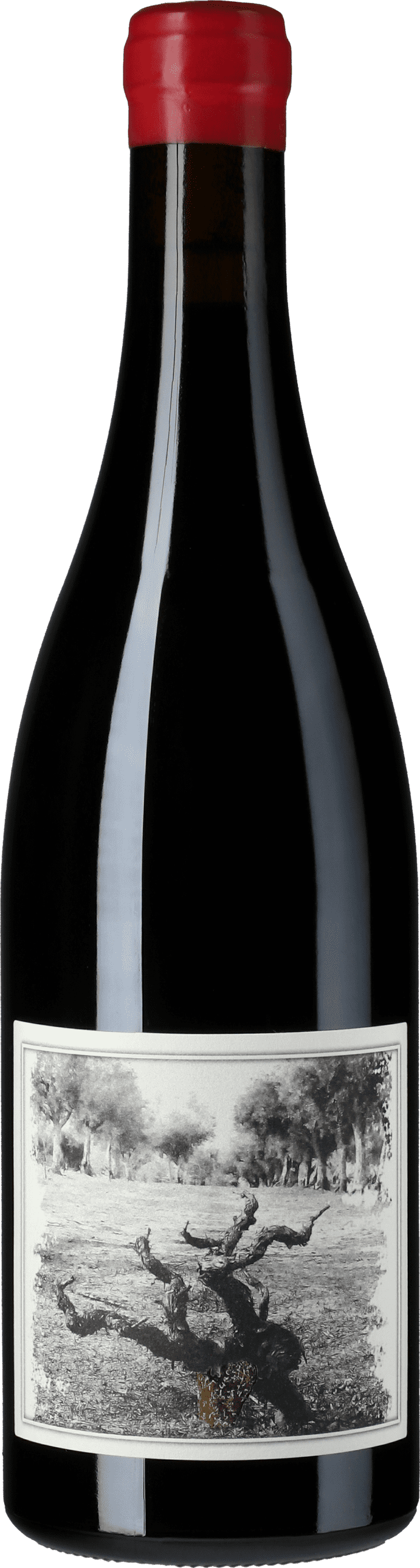 Alvaro Castro: Muleta Quinta da Pellada 2019