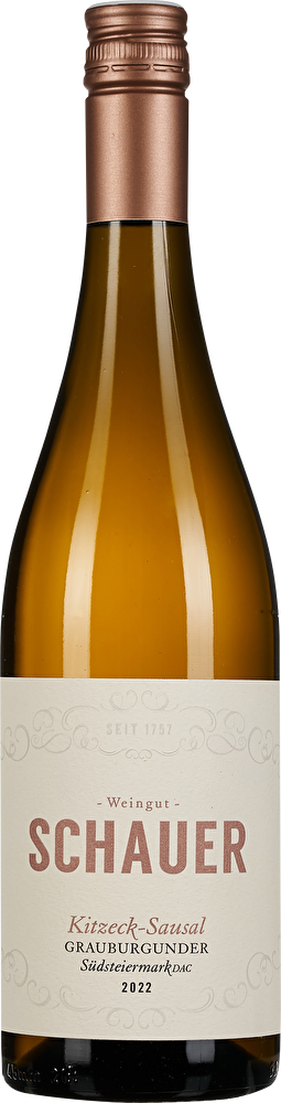 WEIN & CO Grauburgunder Probierpaket