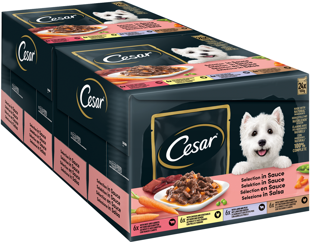 PEDIGREE CESAR Portionsbeutel Multipack Selektion in Sauce 4 Variationen 24 x 100g