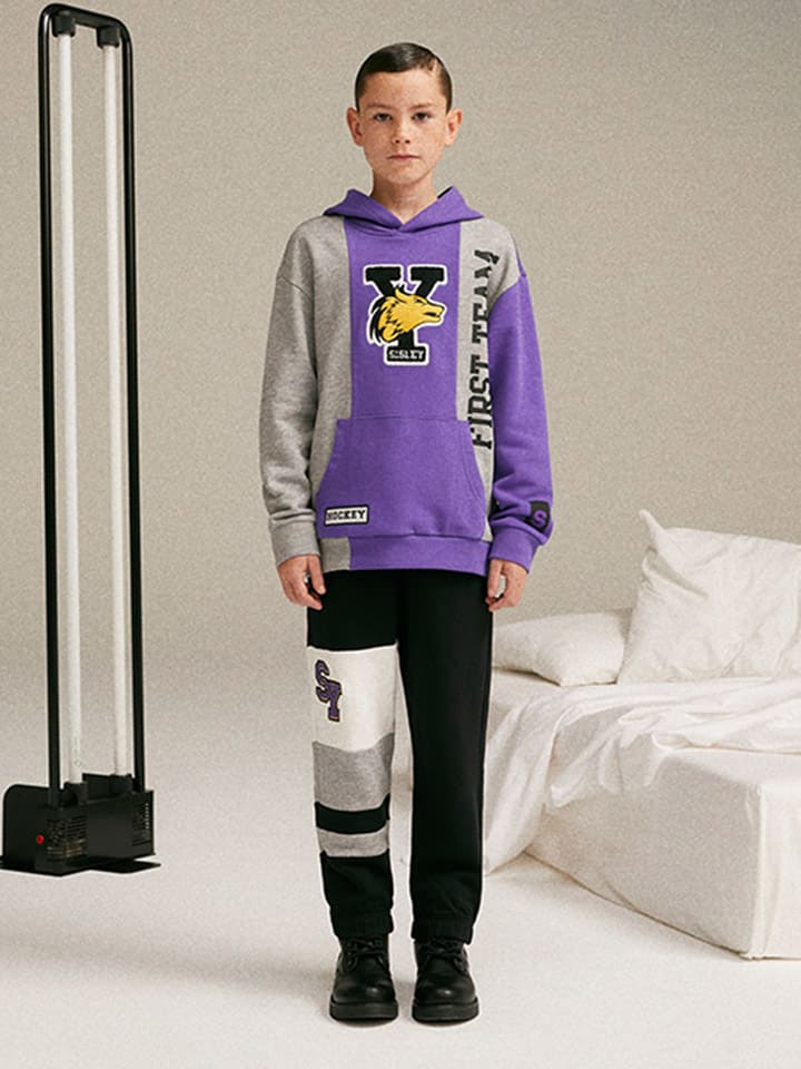 Sisley Hoodie in Grau/ Violett günstig kaufen