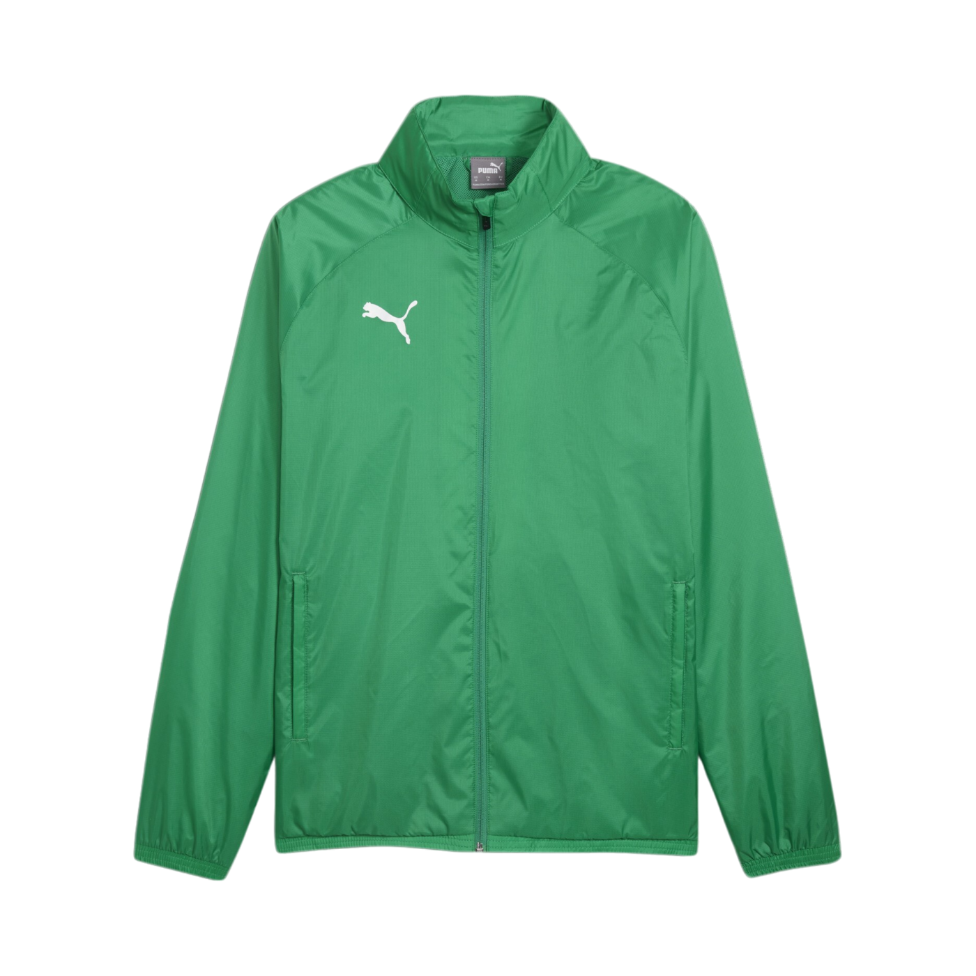 PUMA teamGOAL Allwetterjacke Grün Weiss F05