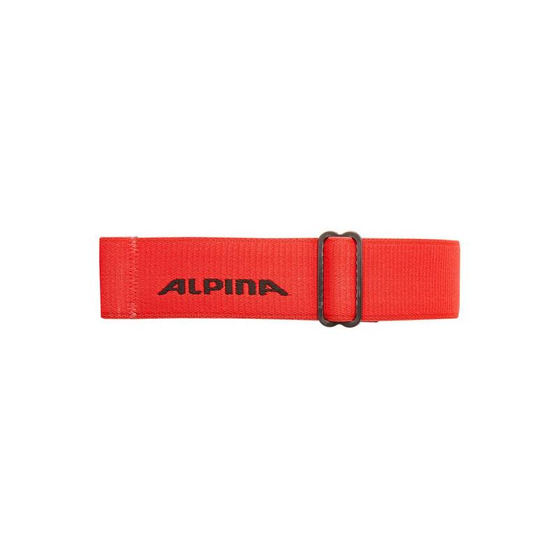 ALPINA FREESPIRIT DH Skibrille