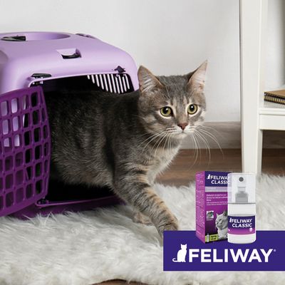 Feliway® Classic Transportspray