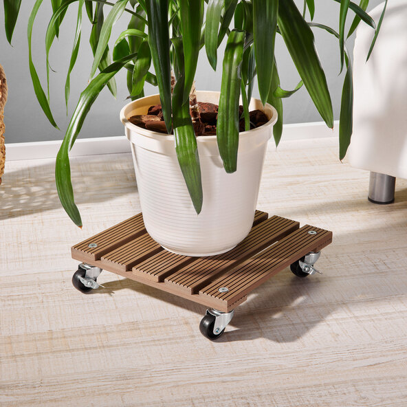 Pflanzenroller, braun, eckig