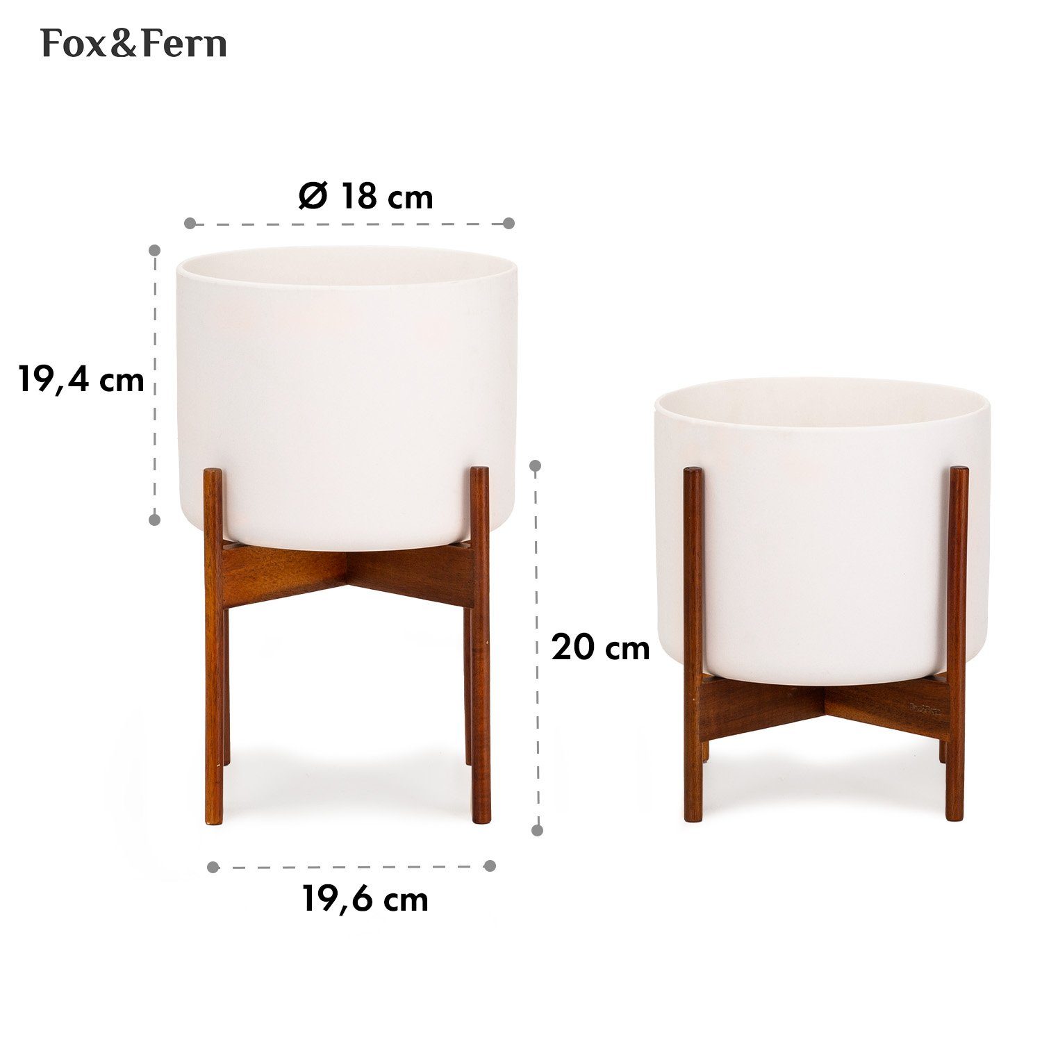 Fox & Fern Hochbeet Thorn